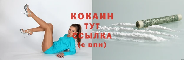 индика Россошь