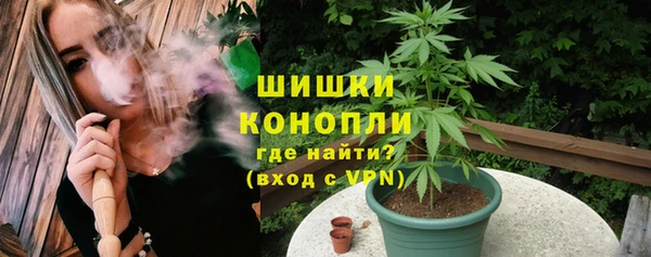 индика Россошь