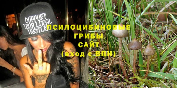 индика Россошь
