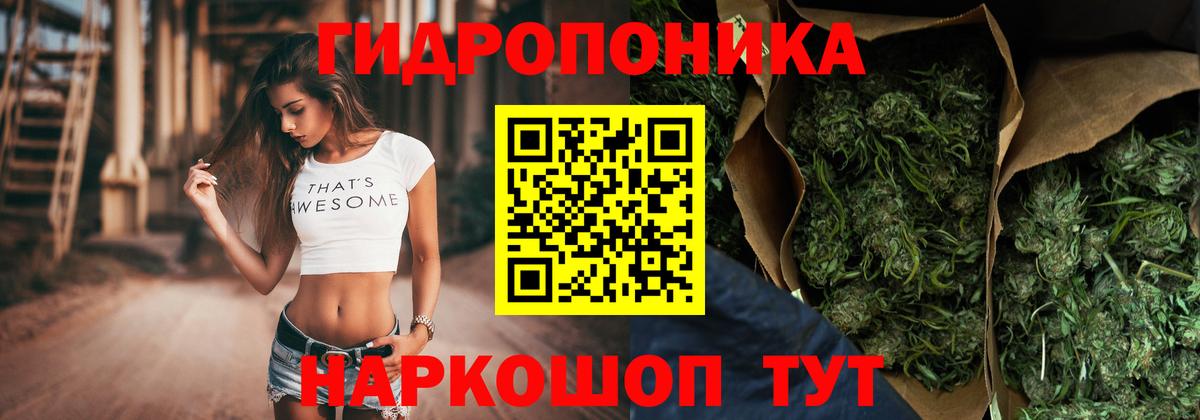 Каннабис White Widow  МАРИХУАНА VHQ  Шишки марихуана планчик  Вход с VPN  Красный Сулин 
